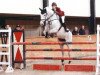 Zuchtstute Belle 35 (Belgisches Warmblut, 2001, von Toulon)