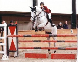 Zuchtstute Belle 35 (Belgisches Warmblut, 2001, von Toulon)