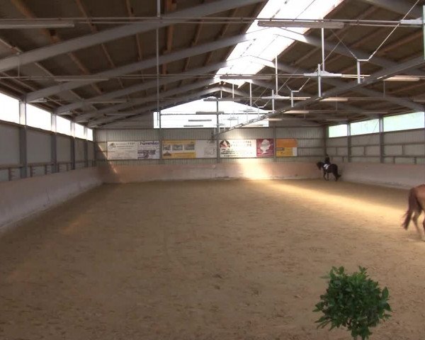 Reitturnier Bad Windsheim/Mfr. 2021