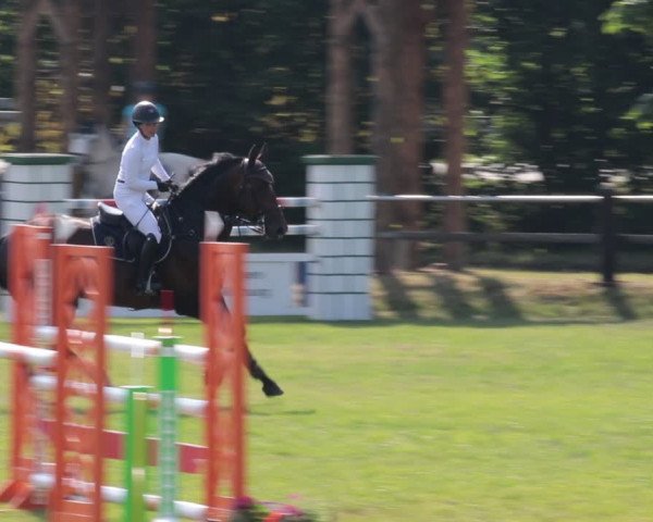Reitturnier Nienburg 2021