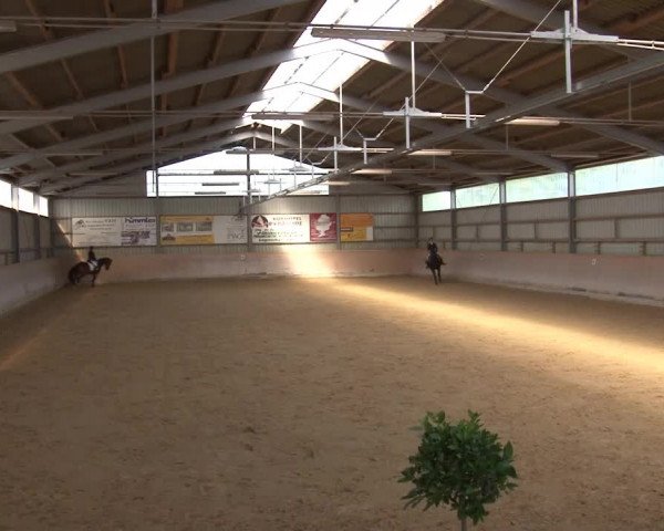 Reitturnier Bad Windsheim/Mfr. 2021