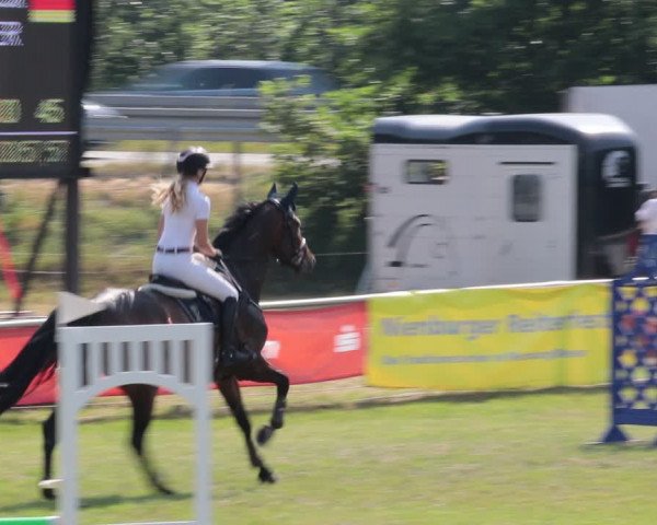 Reitturnier Nienburg 2021