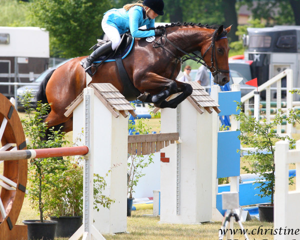 jumper Courtney B (German Sport Horse, 2007, from Clinton H)