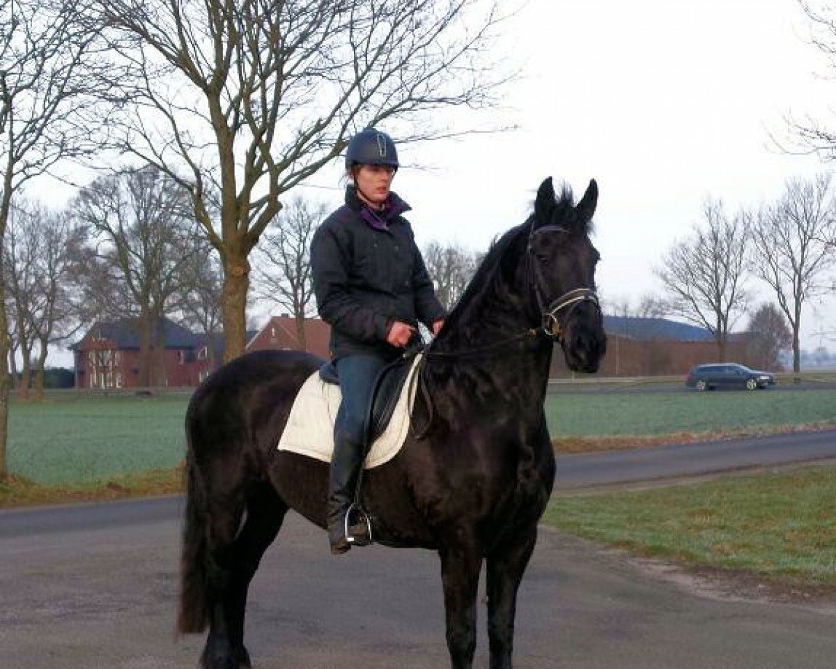 broodmare Teatske (Friese, 2006, from Fetse 349)