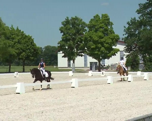 Reitturnier Rot am See- Musdorf 2021