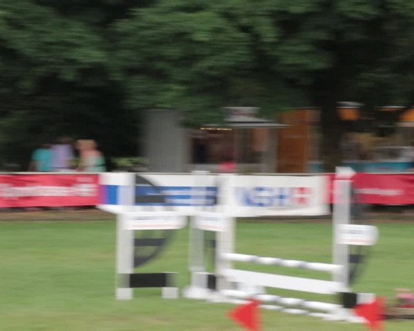 Reitturnier Nienburg 2021