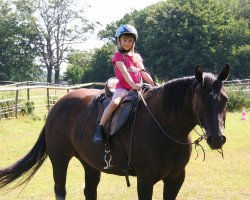 Zuchtstute The Indian Dream (Quarter Horse, 2005, von Star G Grand Peppy)