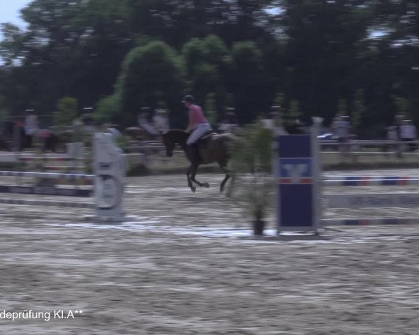 Reitturnier Coesfeld/Lette 2021