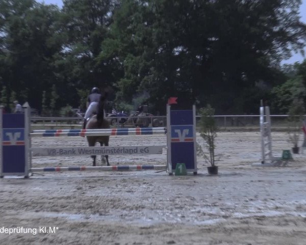 Reitturnier Coesfeld/Lette 2021