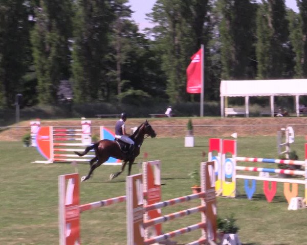 Reitturnier Reitstadion Löbnitz 2021