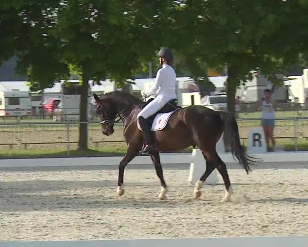 Reitturnier Rot am See- Musdorf 2021