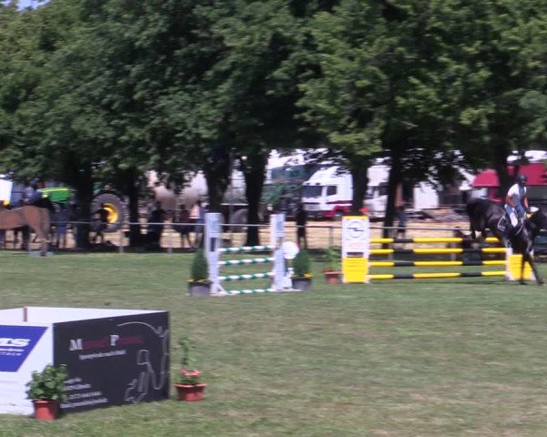 Reitturnier Reitstadion Löbnitz 2021