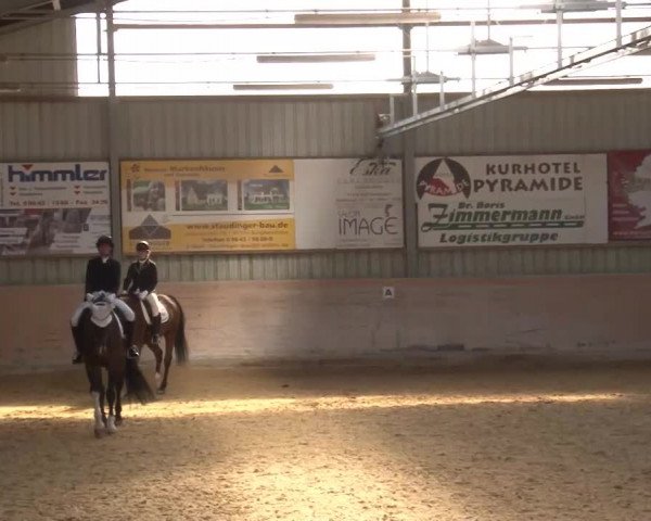 Reitturnier Bad Windsheim/Mfr. 2021