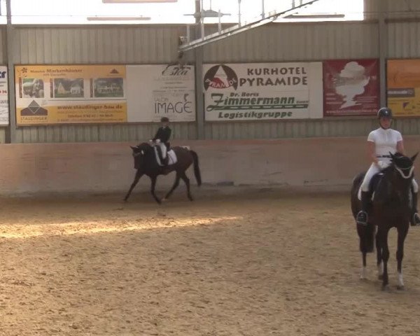 Reitturnier Bad Windsheim/Mfr. 2021