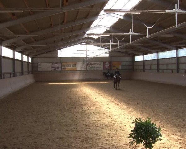 Reitturnier Bad Windsheim/Mfr. 2021