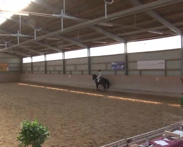 Reitturnier Bad Windsheim/Mfr. 2021