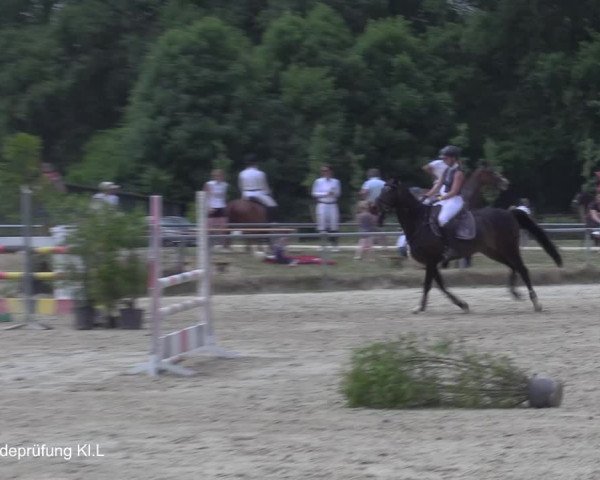 Reitturnier Coesfeld/Lette 2021