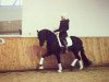 dressage horse Future Gold (German Sport Horse, 2010, from Fürstenball)