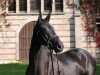 broodmare Louisa 51 (Trakehner, 2011, from Kronprinz)