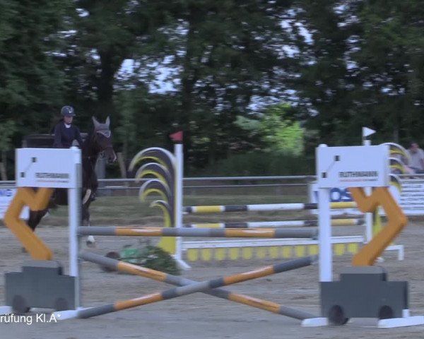 Reitturnier Coesfeld/Lette 2021