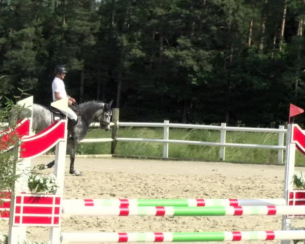 Reitturnier Nordstetten- Horb 2021