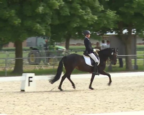 Reitturnier Rot am See- Musdorf 2021
