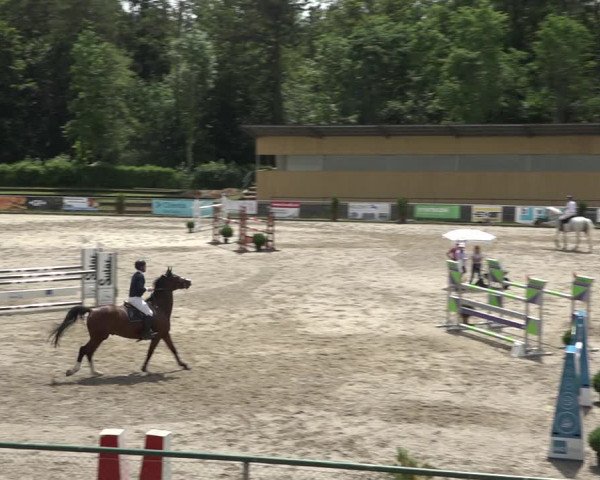 Reitturnier Schaffhausen 2021