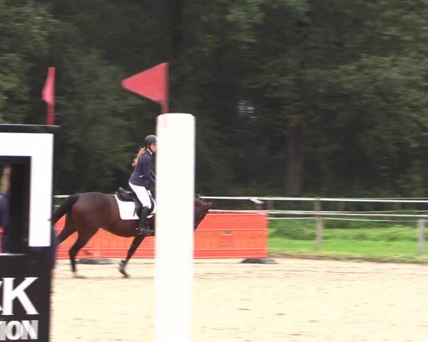 Reitturnier Haltern am See 2021