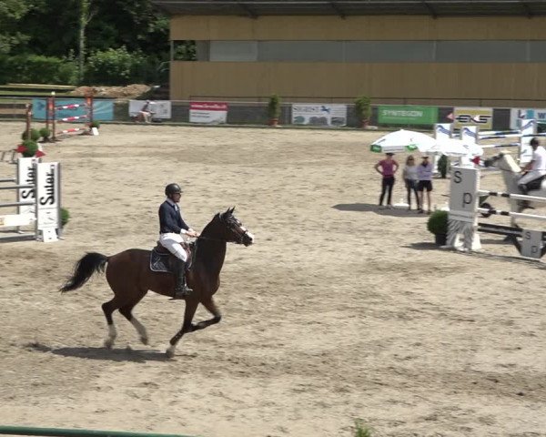 Reitturnier Schaffhausen 2021