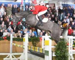 stallion Stakkatol (Oldenburg show jumper, 2004, from Stakkato)