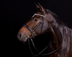 broodmare La Jolie 69 (Oldenburg, 2008, from Let's Talk About)