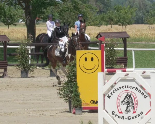 Reitturnier Biebesheim 2021