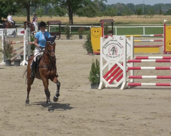 Reitturnier Biebesheim 2021