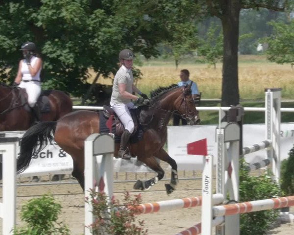 Reitturnier Biebesheim 2021