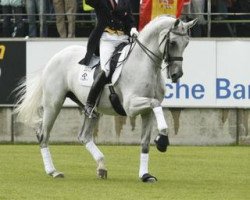 dressage horse Blue Hors Matine (Danish Warmblood, 1997, from Silvermoon)