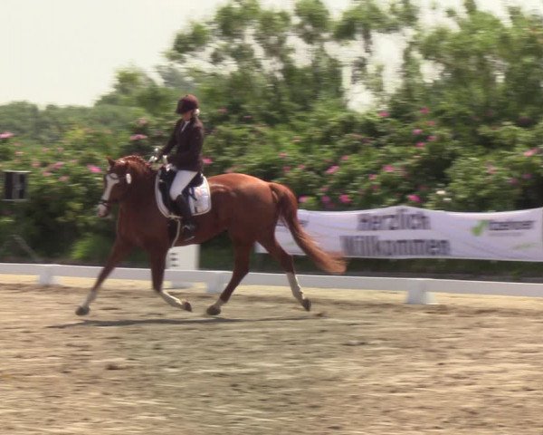 Reitturnier St. Peter Ording 2021
