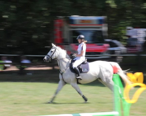 Reitturnier Nienburg 2021