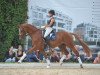 dressage horse Champ in Red (German Sport Horse, 2010, from Camarque 3)