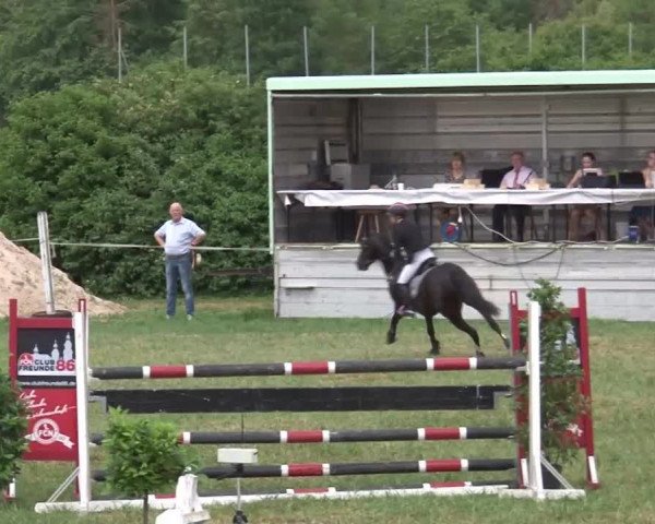Reitturnier Bad Windsheim/Mfr. 2021