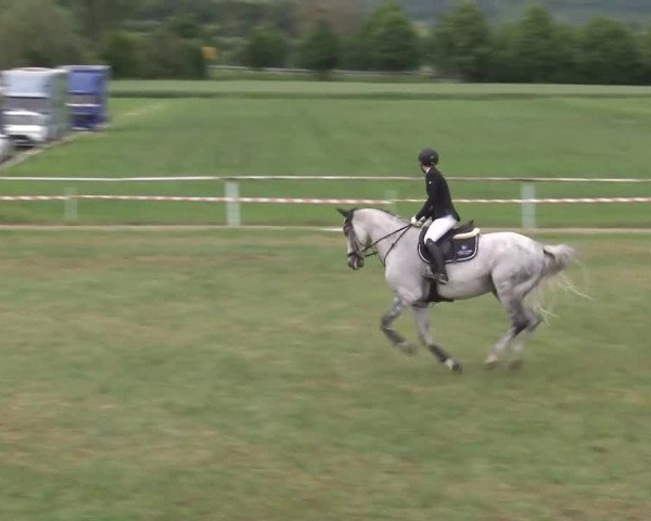 Reitturnier Bad Windsheim/Mfr. 2021