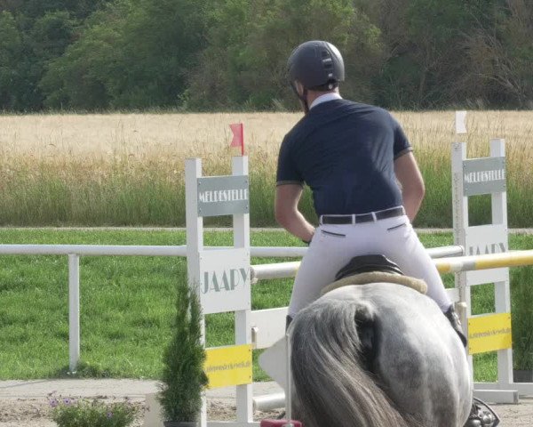 Reitturnier Biebesheim 2021