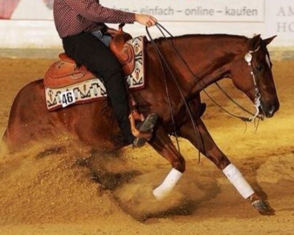 horse Jacs Bubble Gun (Quarter Horse, 2008)