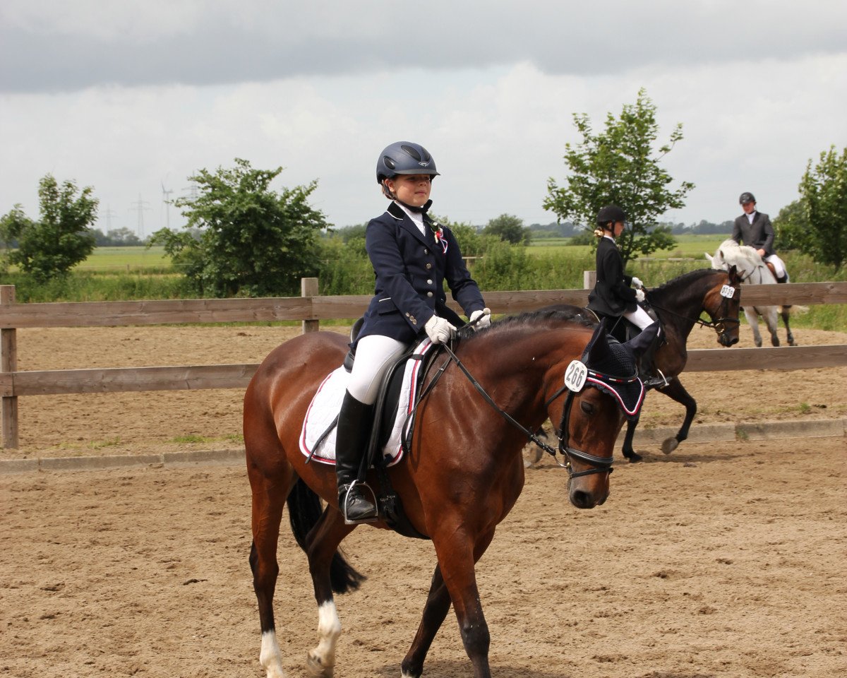 broodmare Mayfair (German Riding Pony, 1999, from Hondsrug Don Gregory)