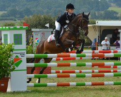 broodmare Lehnsmanns Pennylane (German Riding Pony, 2007, from Giorgio N)