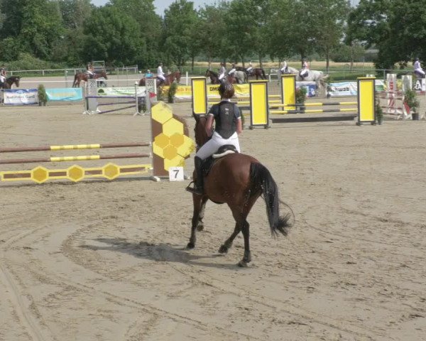 Reitturnier Biebesheim 2021