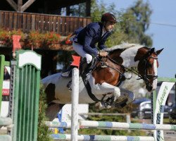 jumper Anascha (KWPN (Niederländisches Warmblut), 2005, from Primar)