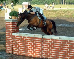 broodmare Landika (Saxony-Anhaltiner, 1997, from Landcolt B)