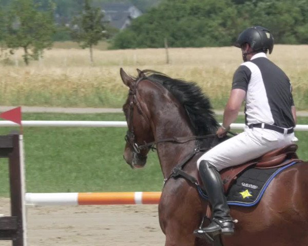 Reitturnier Biebesheim 2021