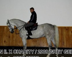 jumper Jumper (Oldenburg show jumper, 2008, from Clinton H)