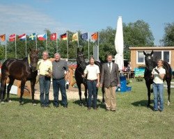 broodmare First Lady (Hanoverian, 2001, from Florestan I)